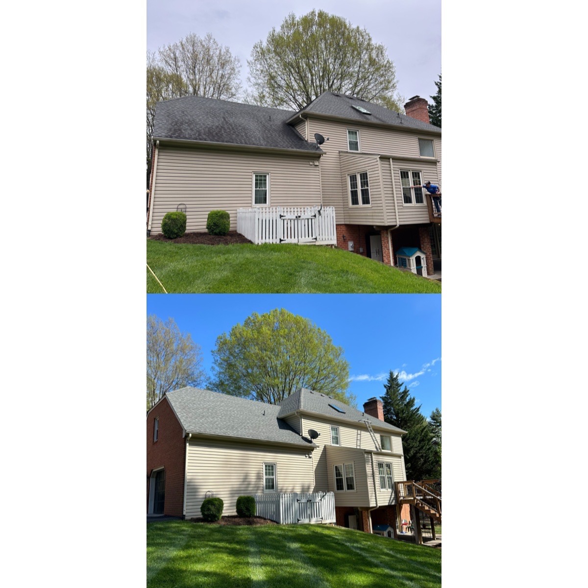 Before and after. roof cleaning Roanoke VA, black streaks roof algae Virginia,